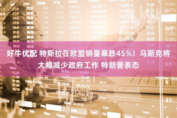 好牛优配 特斯拉在欧盟销量暴跌45%！马斯克将大幅减少政府工作 特朗普表态