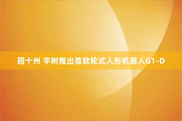 园十州 宇树推出首款轮式人形机器人G1-D