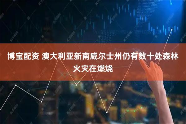 博宝配资 澳大利亚新南威尔士州仍有数十处森林火灾在燃烧