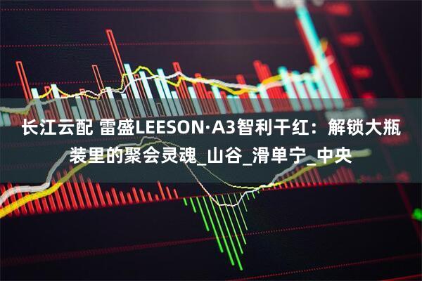 长江云配 雷盛LEESON·A3智利干红：解锁大瓶装里的聚会灵魂_山谷_滑单宁_中央